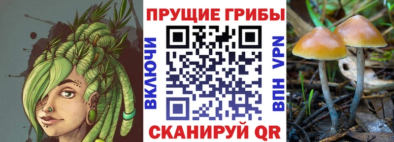 Псилоцибиновые грибы GOLDEN TEACHER  Пойковский 